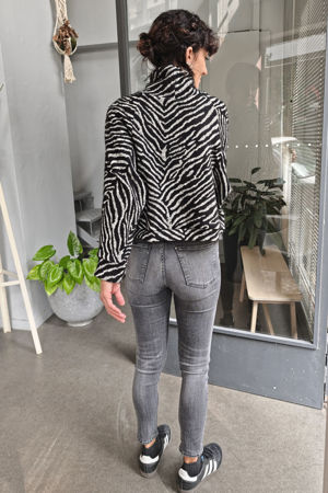 Picture of oversized animal top