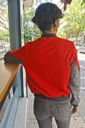 Picture of bomber FTW red greys